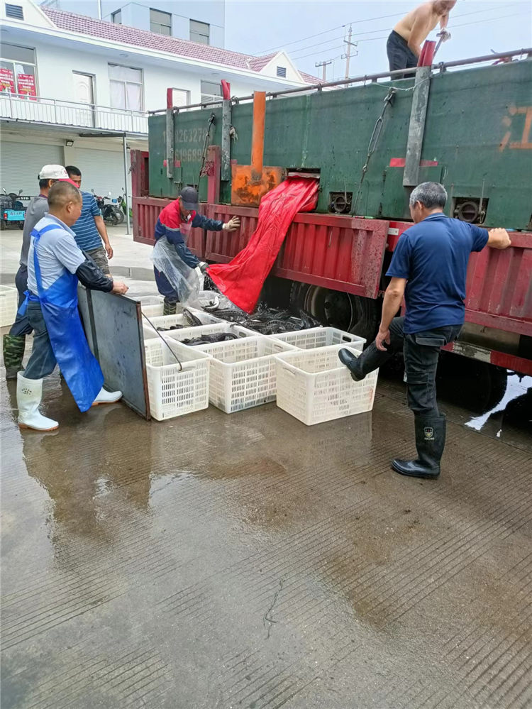 企業(yè)一覽