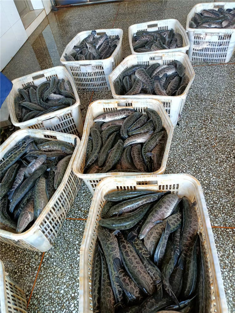產品原料