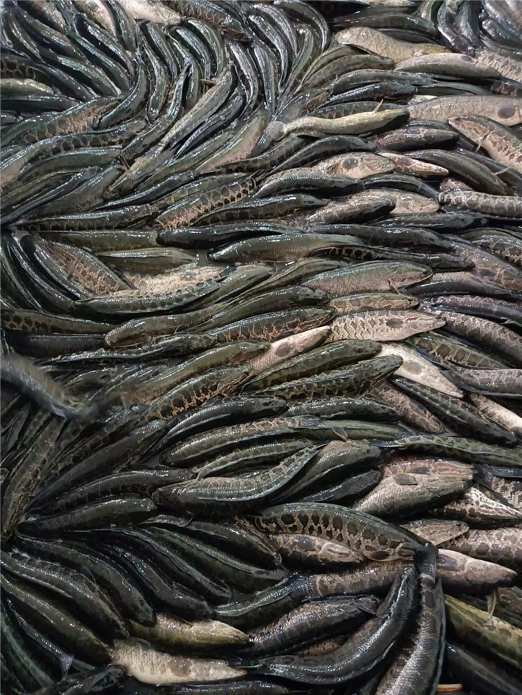 產品原料