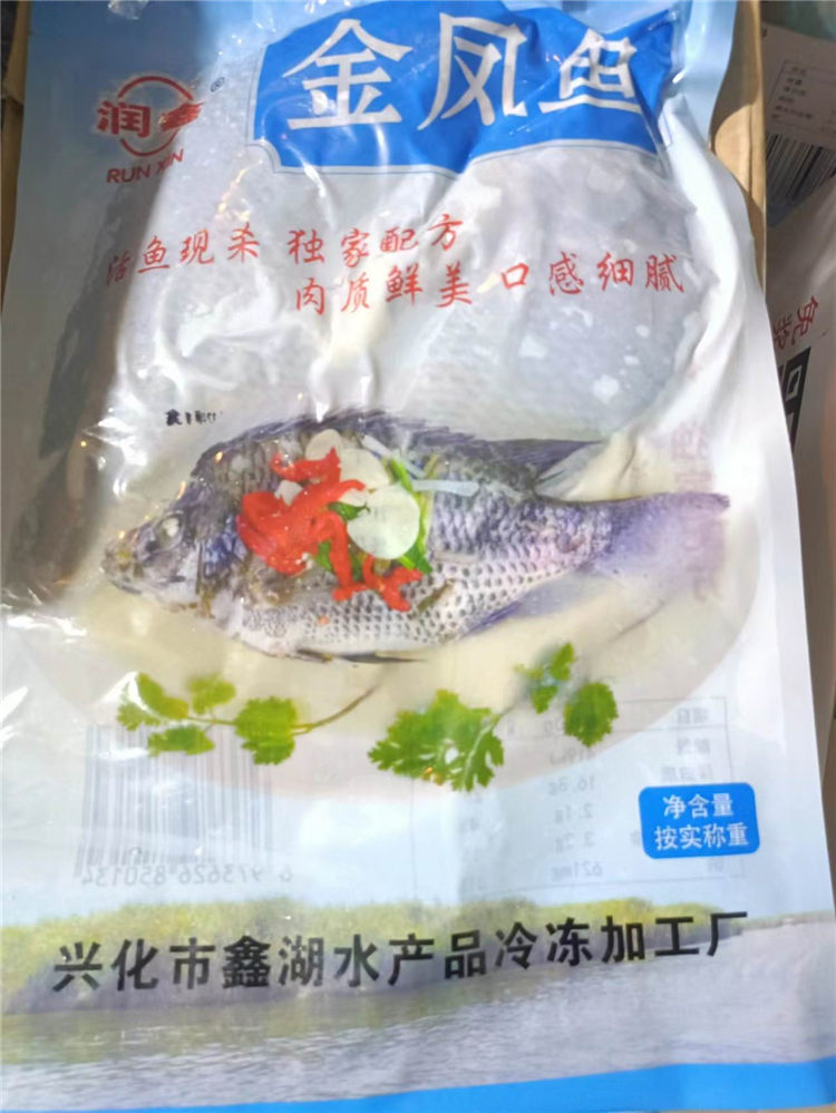金鳳魚